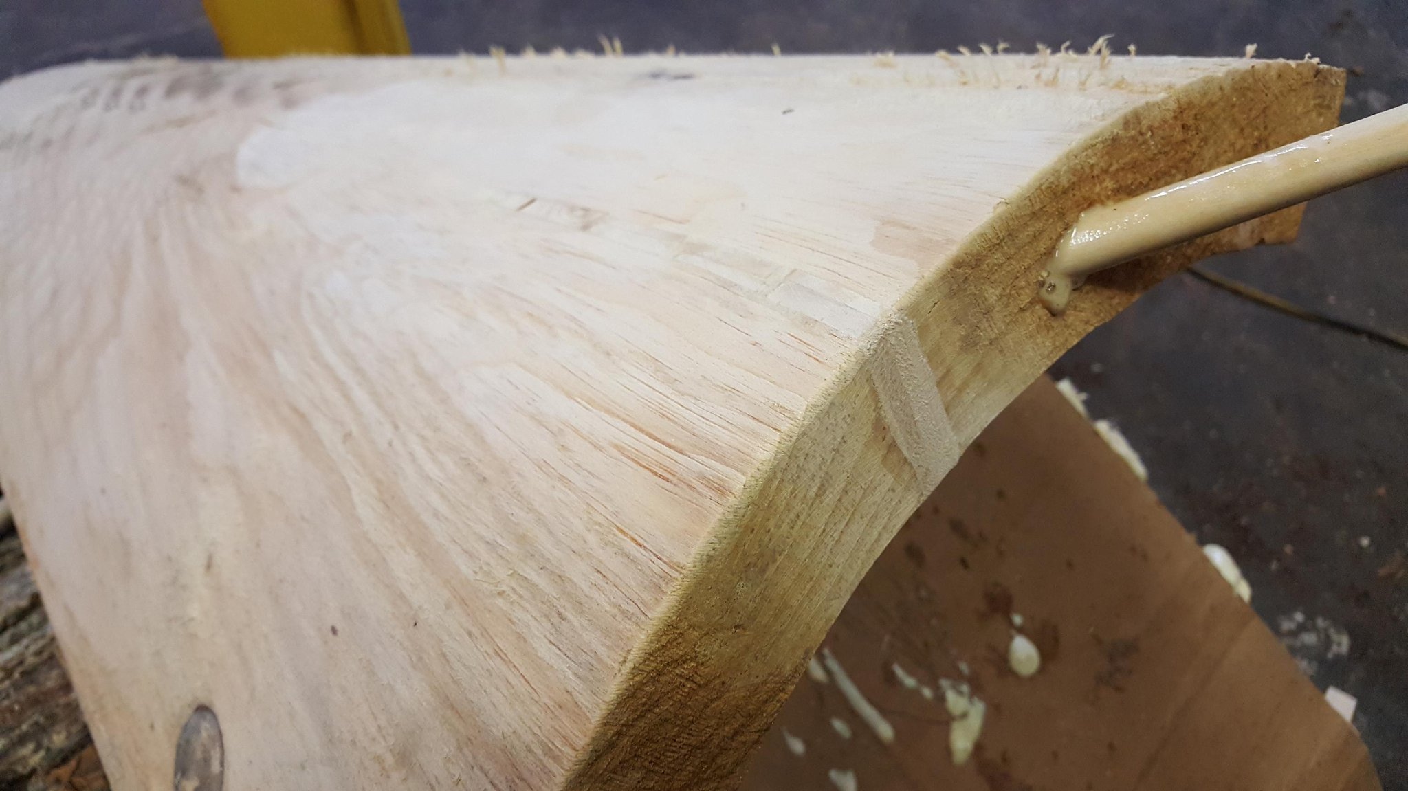 Close-up of the crack edge after spline insertion — beautiful tight grain, crack nearly closed, dowel end visible at the surface, IC WOOD half-log